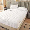 6-Sides Full Enclosed Thicken Fitted Sheet Mattress Cover with Zipper Custom Size Quilted Bed Sheet Anti-mite Mattress Protector 2