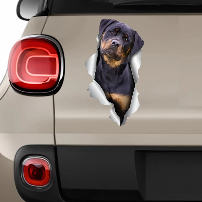 Рисунок 3 - V1152 # Автомобильная наклейка Rottweiler Pet