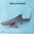 Whale Shark