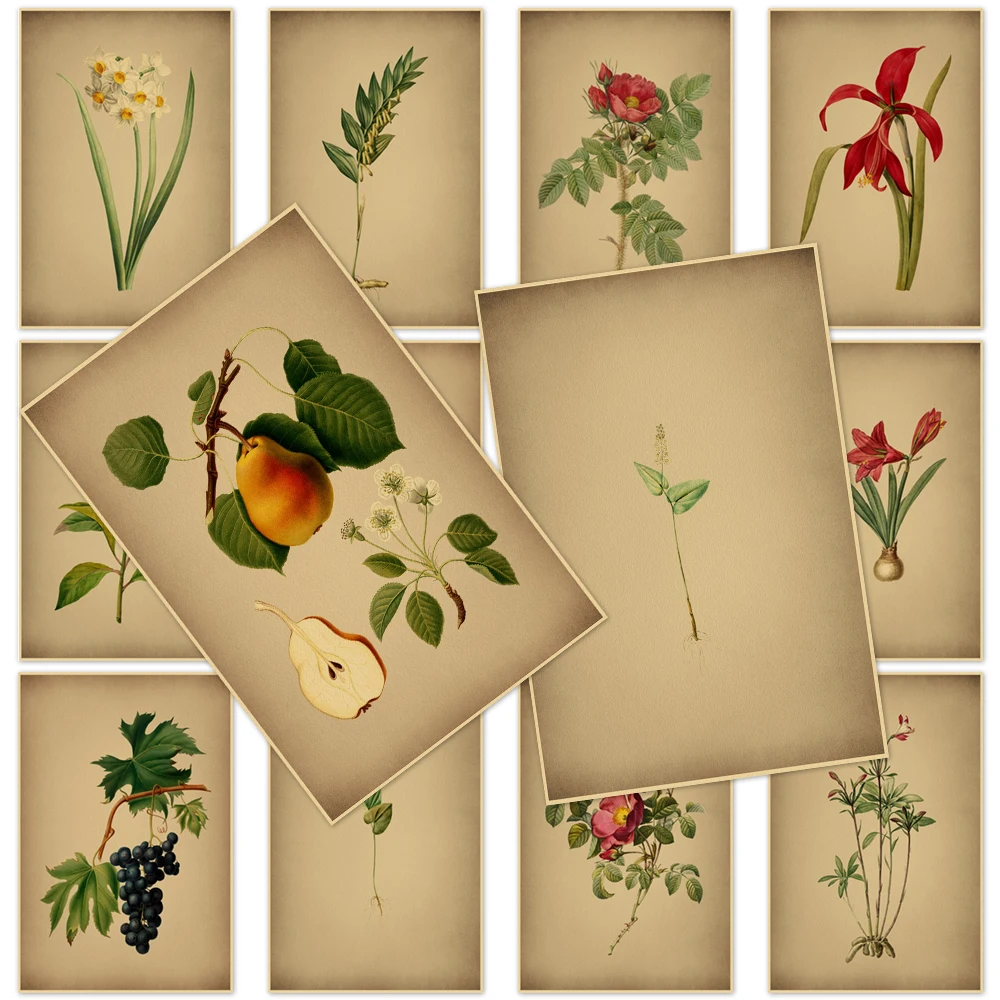 

Illustration Kraft Paper Poster Floral Plant Painting Prints Botanical Wall Art Mural For Family Children Room Decor Pictures