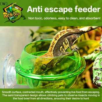 WOArboreal Rettile Live Anti-fuga Ventosa Ciotola per mangiatoia Insetto Verme Contenitore per alimenti per lucertola Gecko Camaleonte Rettile Ciotola per animali domestici