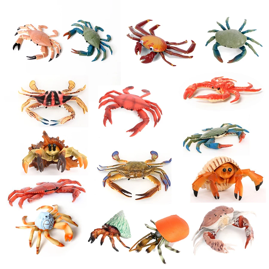 

Realistic Sea Life Creature Figurines Marine Model Hermit Crab,King Crab,Swimming Crab Ocean Animal Figure for Animal Collection