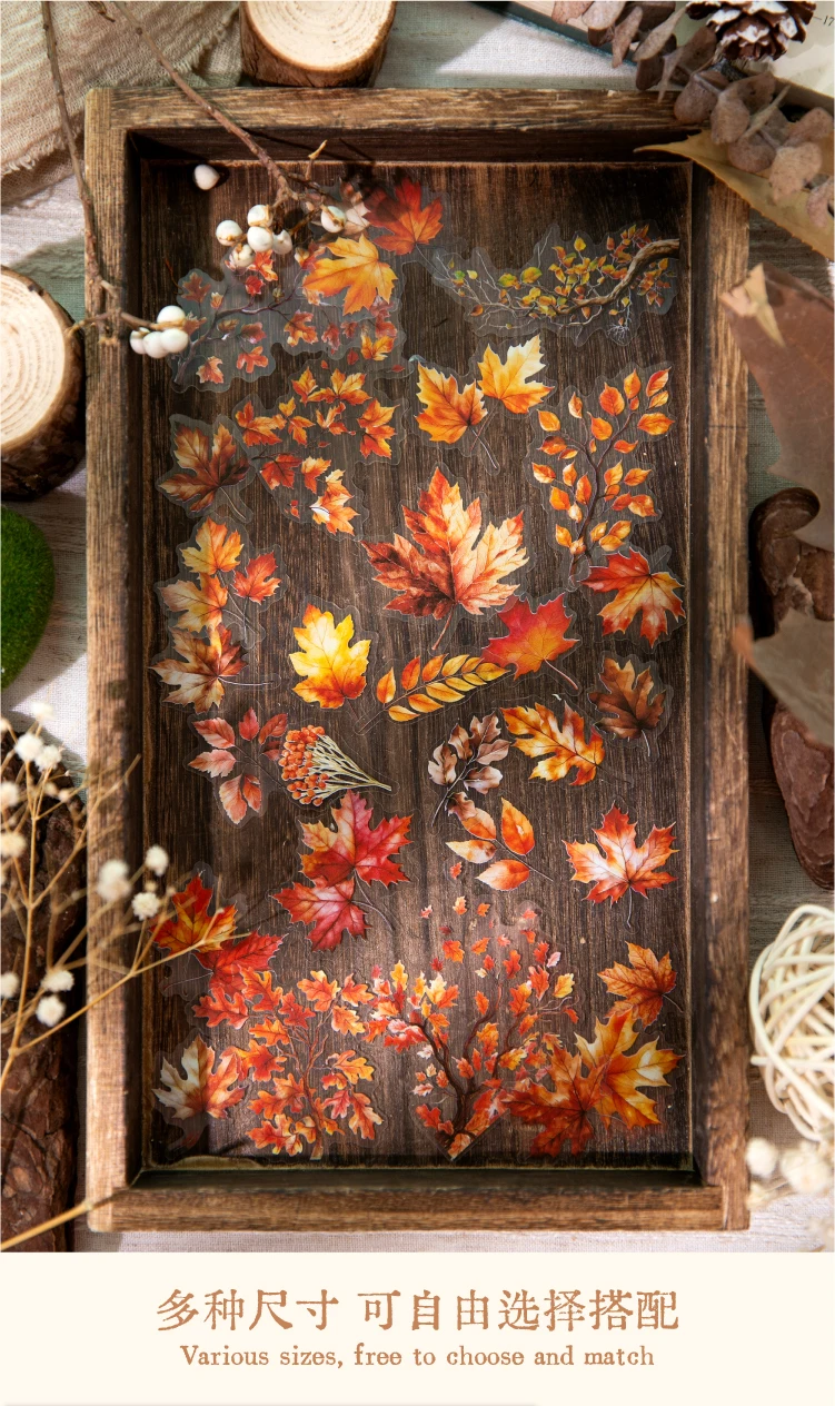 30 teile/paket Herbst Thema PET Aufkleber Scrapbooking Materialien DIY Junk Journal Collage Collage sprache Dekor Aufkleber – Detail 5