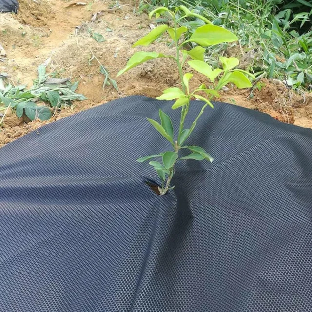 10 M/100 M Pp Geotextile Mezőgazdasági Fűszövet-Ellenes Termék-Orientált Gyomormányzó Szőnyeg Műanyag Talajtakaró Vastag Gyümölcsös Kert Gyomok C - Image 5