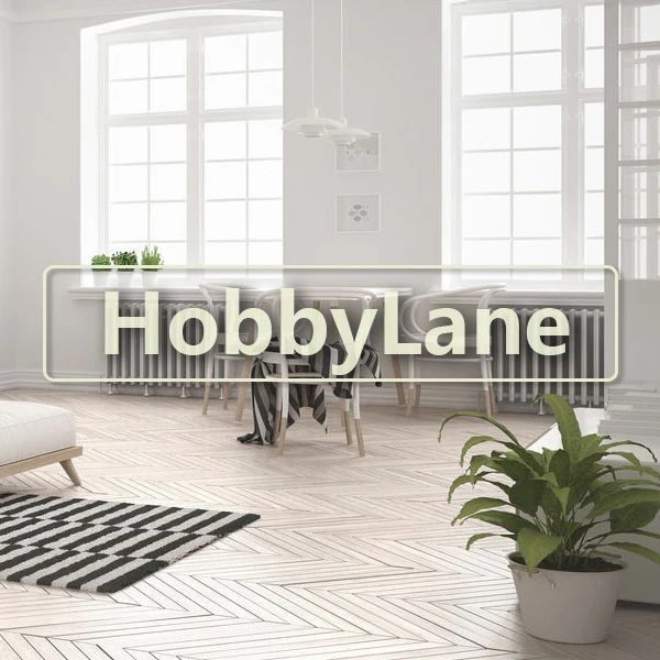 HobbyLane Dream House Store