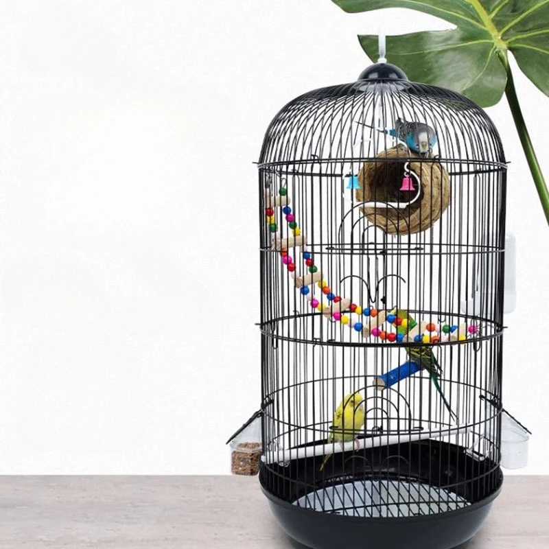 

Stand Parrot Bird Cages Hammocks Chinchilla Feeder Canary Decors Bird Cages Canary Luxury Vogel Accessories Bird Accessories