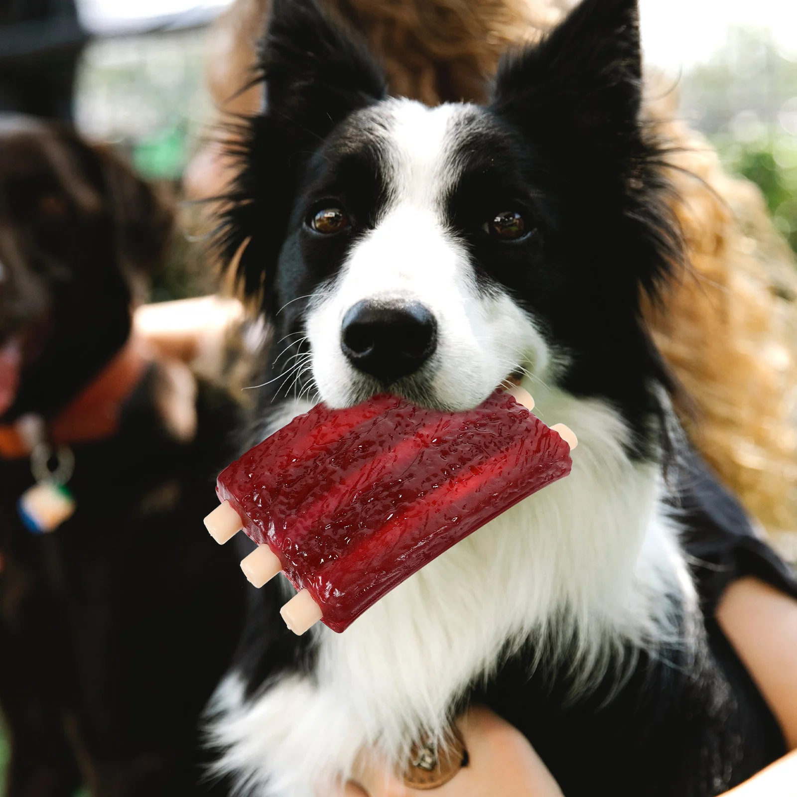 

Pet Teething Toys TPR Bite Squeaky Dog Outdoor Playset Resistant Puppy Chew Small Household Training