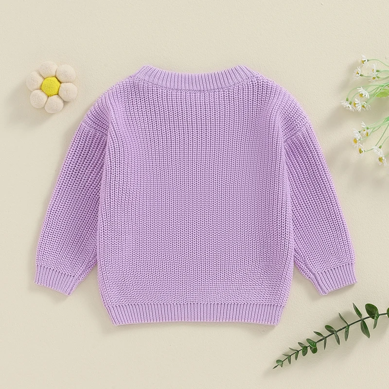 Toddler Baby Girl Boy Knitted Sweater Big Sister Pullover Sweatshirt Chunky Sweaters Sister Matching Outfit 6