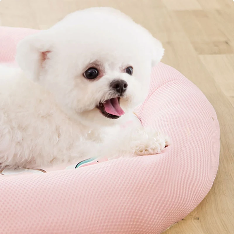 S1b2f5d5fdc5c4ab49cc5f055d5378de6M