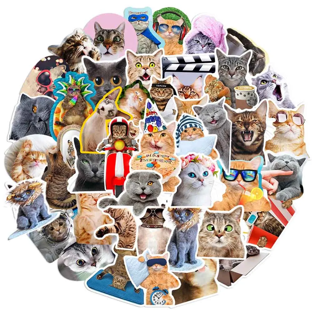

10/30/65pcs Cute Funny Cat Stickers Kawaii Cartoon Decals Skateboard Notebook Luggage Laptop Waterproof Sticker Kid Classic Toy