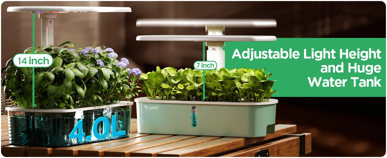 Hydroponics Growing System