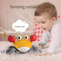 Baby toys crab children's toys educational toys