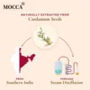 Cardamom Essential Oil (30ml) - Spicy & Slightly Sweet Scent 5