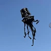 Free Shipping new kite flying knight kites nylon fabric professional wind kites factory parachute Power kite kinder outdoor fun 4