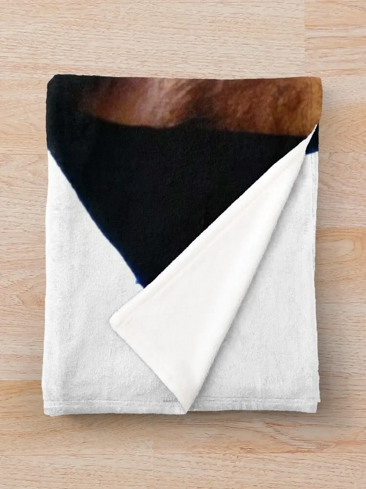 �� ���� ���� ������ ���, ���� ķ�� ����, �̺� ���� ���