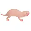 Plastic Mole Figurine Toy Simulation Static Full Core Naked Mole Model for Kids Sand Table Ornaments 1