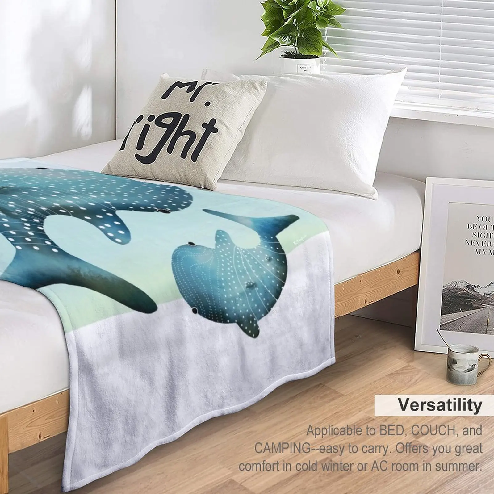 ���� ��� ������ ���, ħ��� ���� ���, ��� ���, ����ǰ