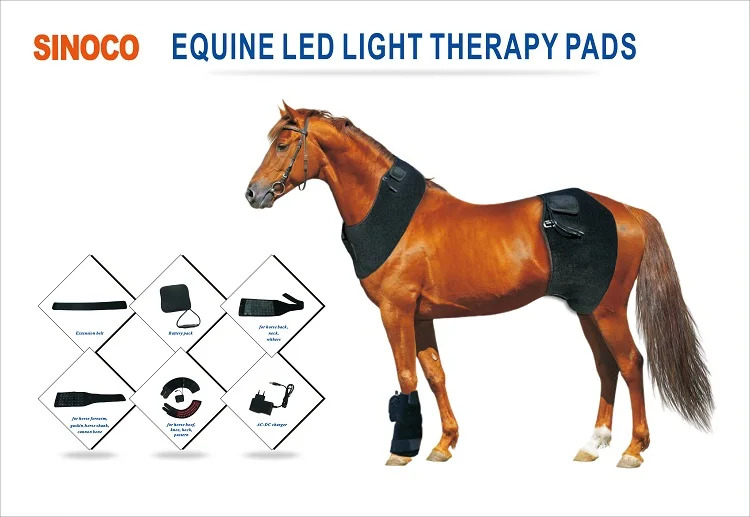 Equine Bemer Therapy proyectosarquitectonicos.ua.es