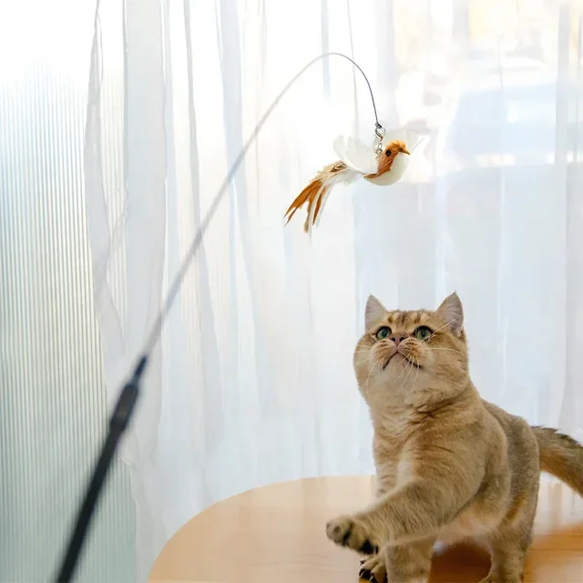 Interactive Cat Toy Handfree Cat Stick Playing Kitten Playing Teaser Wand Toy Suction Cup Bird/Feather Cat Wand Pet Supplies 5