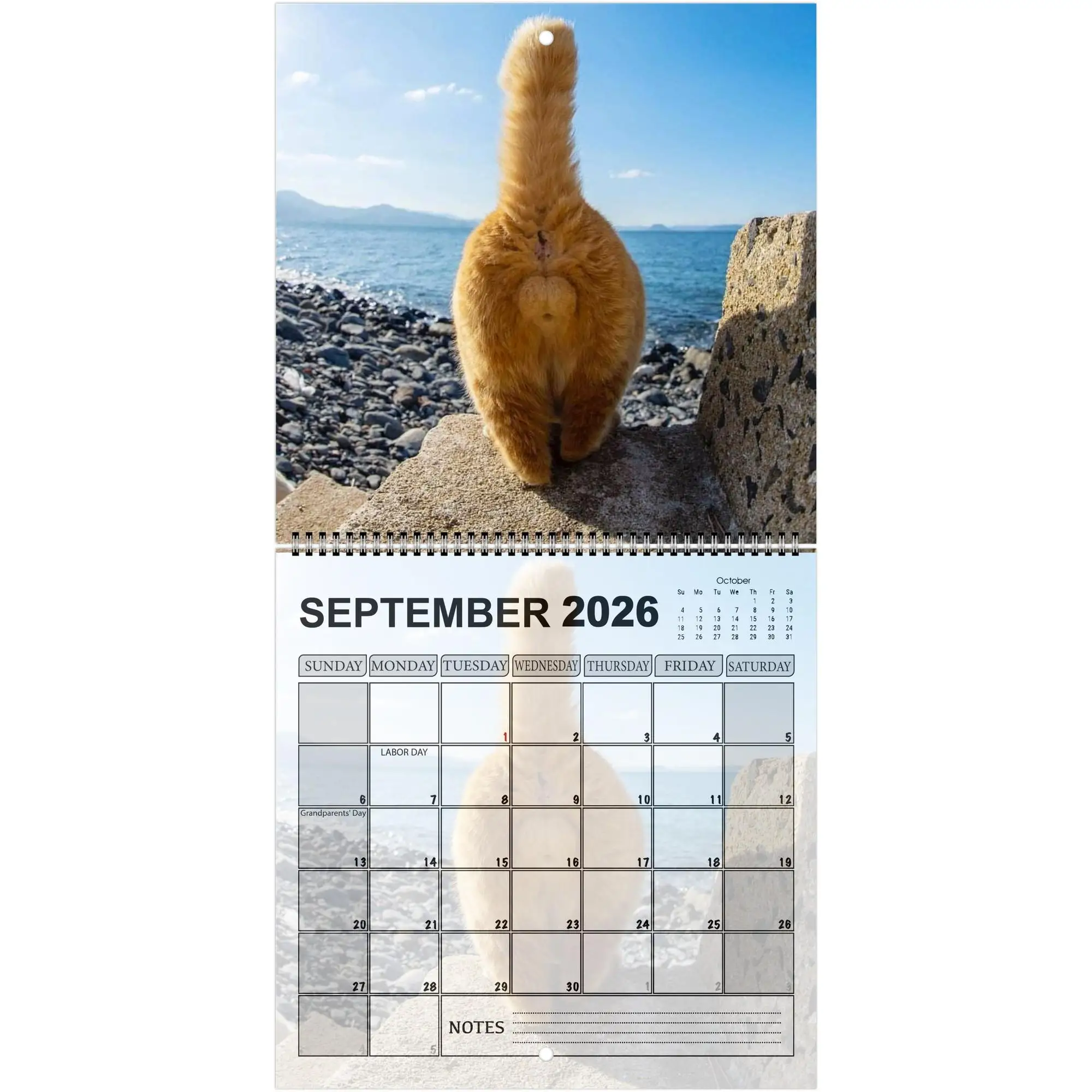 2026 Cute Cat Calendar - Monthly & Daily Planner with Adorable Frog-Eyed Kitten Design Perfect Gift for New Year Halloween