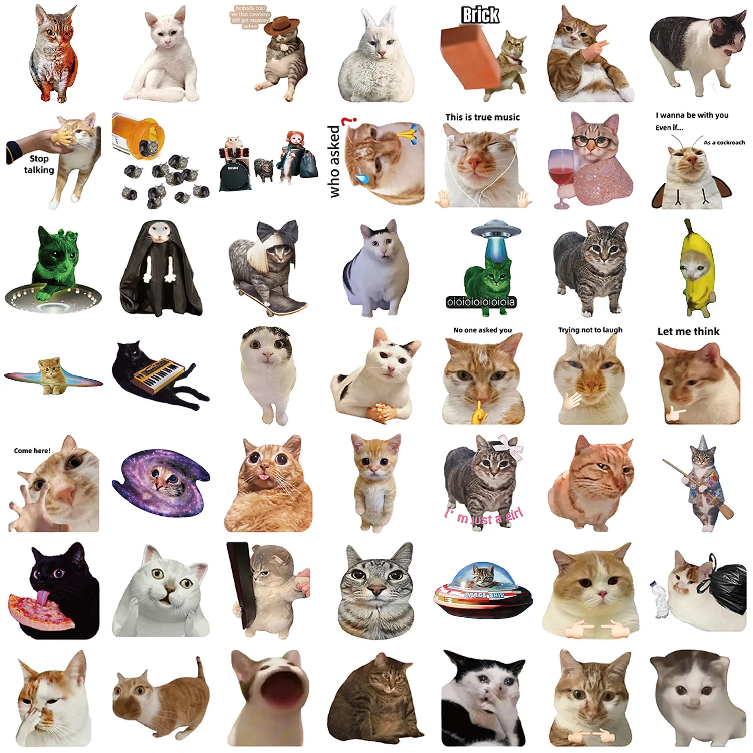 Gato Meme Wallpaper: The Ultimate Guide to Funny Cat Stickers for Your  Devices and Belongings, image size:1500x1500