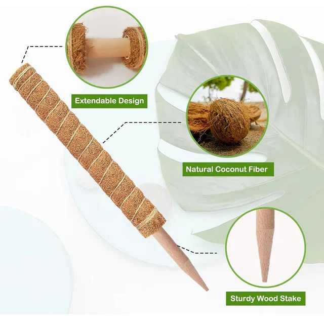 Cross-border Gardening Cocoanut Stick Green Pot Fixed Plant Climbing Cane Flower Support Cocoanut Climbing Cane Moss Rod 1pc 2