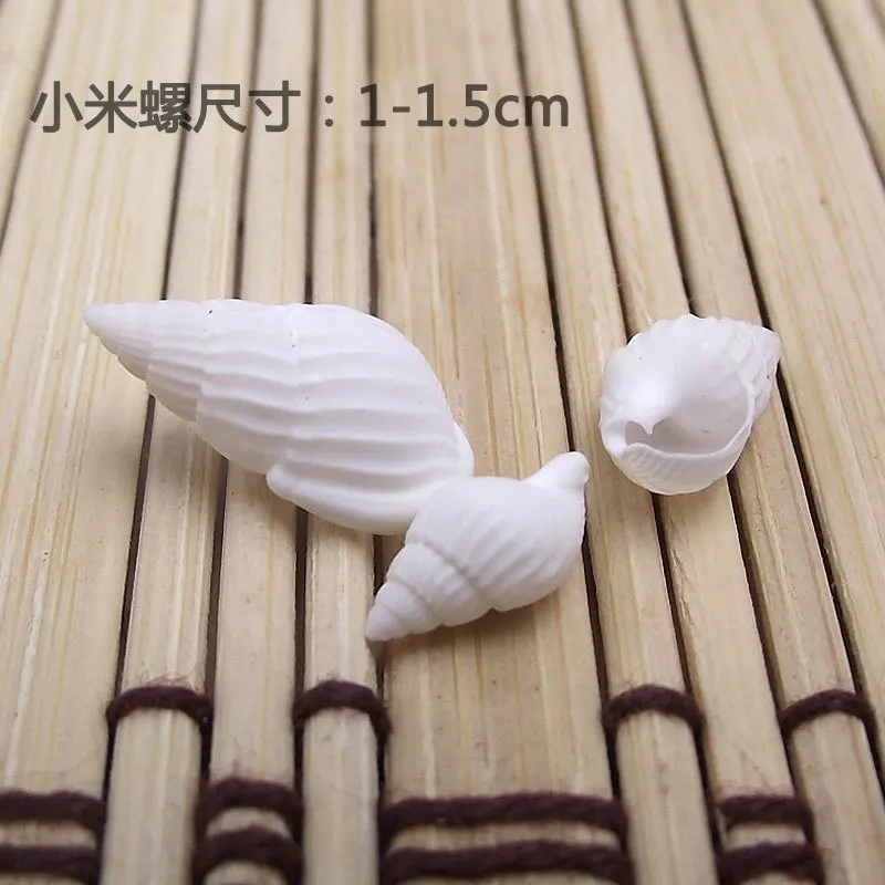 Natural Shell Ornaments 100pcs Small Shell White Nautical Wedding Wedding Decorationsations Ornaments White Small Beautiful Shell Conches Assorted natural shell ornaments