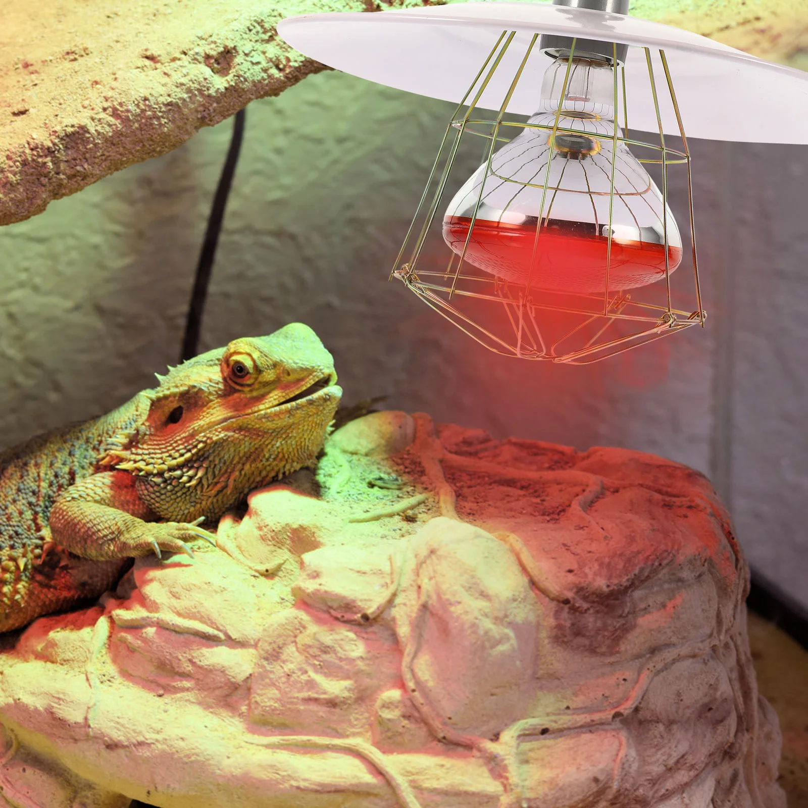 Heat Lamp Set Livestock Cage Heating Light Small Pig Accessory Dog House Cooler Box Supply Aluminum Warm Baby Heater