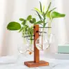 Plant Hangers with Vases Hydroponic Flower Holder Glass Vase Terrarium Kit for Indoor Plants Propagation Station for House 1