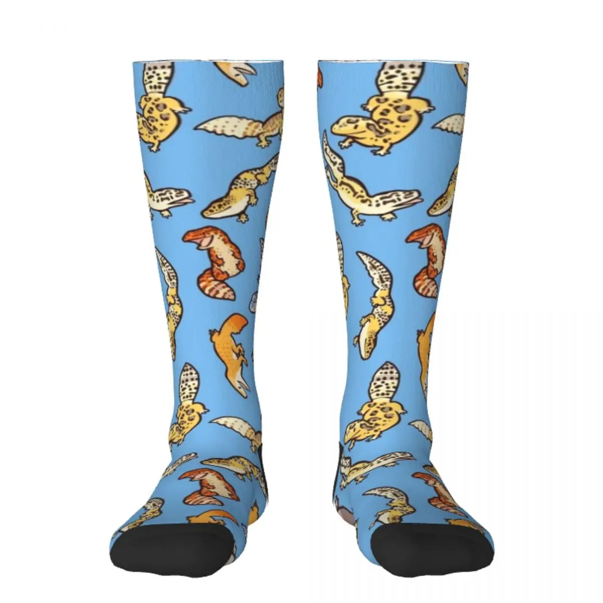 

Chub geckos, синие носки, футболки, Аргентина, мужские и женские