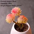 Yellow 3HeadJiWaLian