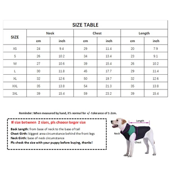 Polo Pawcci Vert et Blanc pour Chiens - 2025 - Doglovedesign : Vêtement et accessoires pour chiens