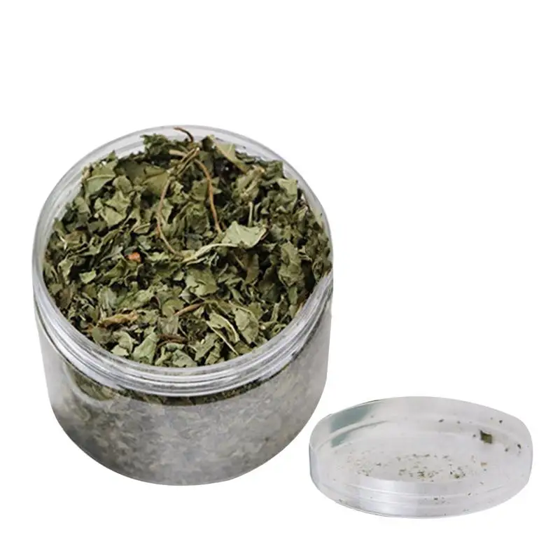 Natural Catnip Organic Premium Catmint Cat Toy Nepeta Cataria For