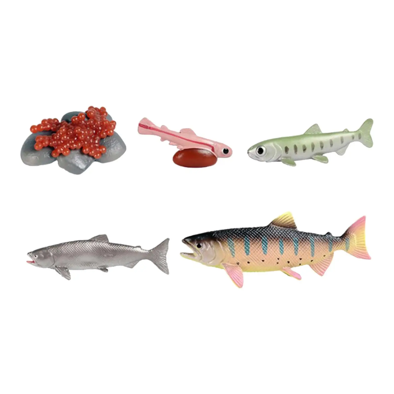 Life Cycle of Salmon Toys Puzzle Teaching Aids Cognitive Educational Animal Growth Cycle Set Montessori Toys Party Storytelling