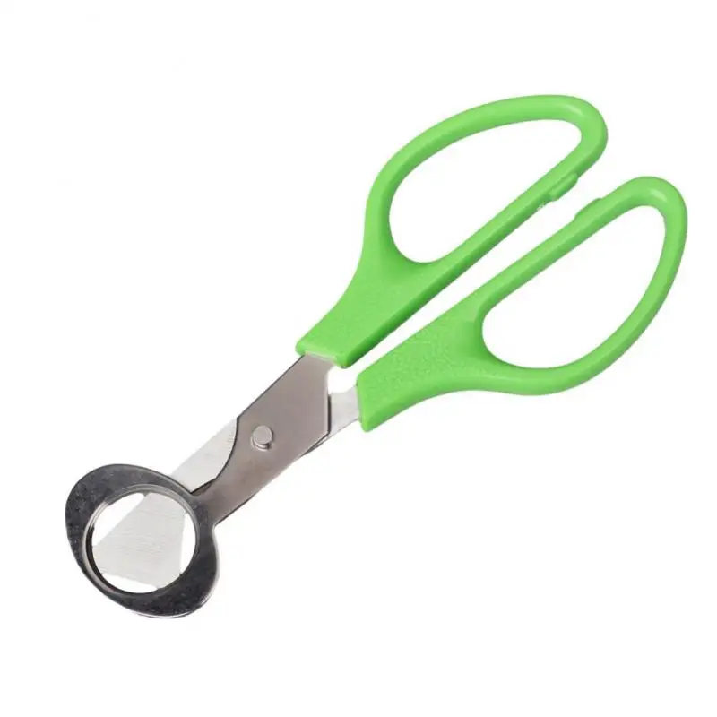 Mduoduo 2 Pcs Eggshell Cutter Quail Egg Scissors Stainless Steel Egg  Scissors 