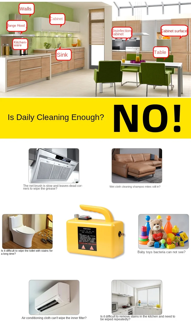 3000W 220V/110V Professional Steam Cleaner Handheld Steam Generator High Pressur