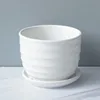 1PC Ceramic Flowerpot Dehua White Porcelain Pot Succulent Plant Flower Pot Small Flower Rack Pure White Striped Pot 5