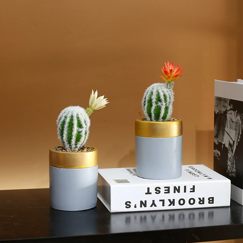 

Simulated cactus, succulent green plants, potted plant decorations, living room, study, desktop decoration, indoor plants