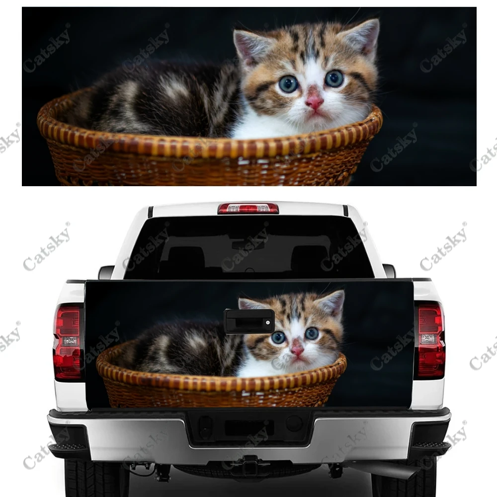 Custom Car Fußmatten Für ORA iQ Funky Katze DIE NÄCHSTEN ORA KATZE Alle  Modell Auto Teppich Teppich Footbridge Autos zubehör Styling - AliExpress