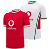 2024/25 Wales Home / Away Rugby Jersey - Mens Size:S-5XL（Print Name Number）Top Quality 1