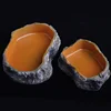 Pet Reptile Water Bowls Terrarium Plate Reptile Feeder Amphibian Feeding Bowl for Frog Chameleon Tortoise Bearded Dragon Turtle 6
