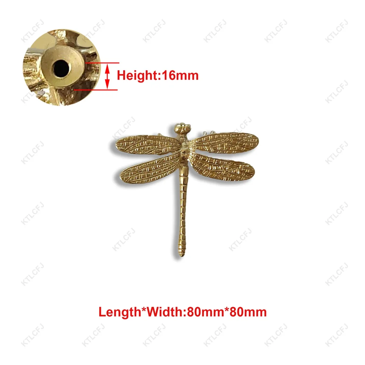 Dragonfly1