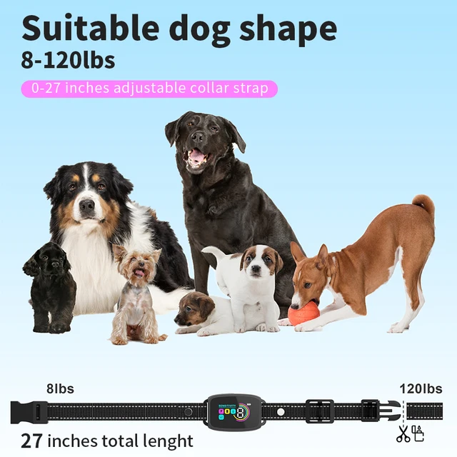 Rechargeable Anti-Bark Dog Collar 5