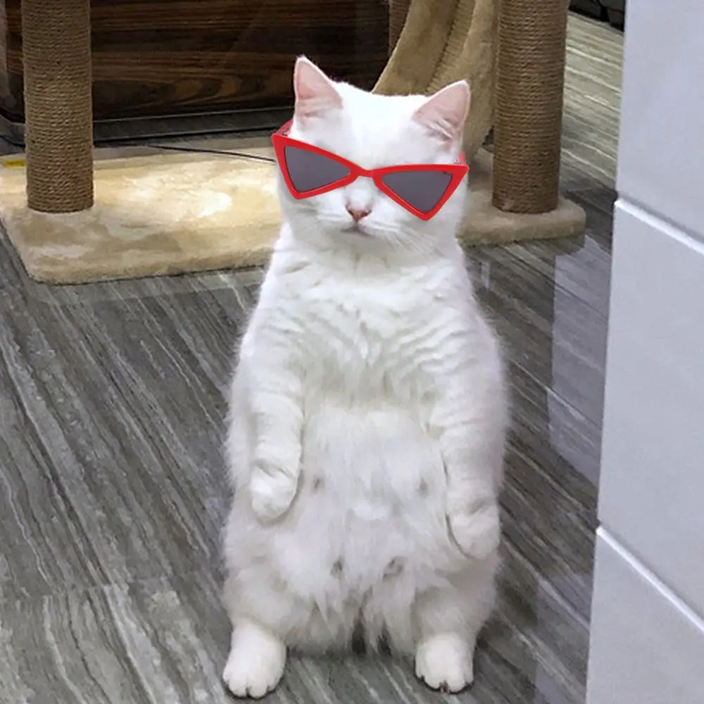 Miniature Plastic Sunglasses for Dolls and Pets