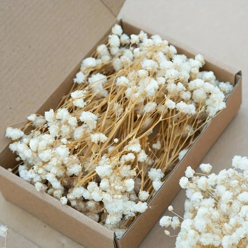 50 шт. Міні сухі квіти Дихання Букет Гіпсофіла Квіткові Коротка гілка DIY Квіткові матеріали Дитяче дихання Квіти Декорація