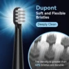 Sejoy Electric Toothbrush USB Rechargeable 12 Replacement Toothbrush Heads 6 Modes Adult Ultrasonic Teeth Cleaning 6