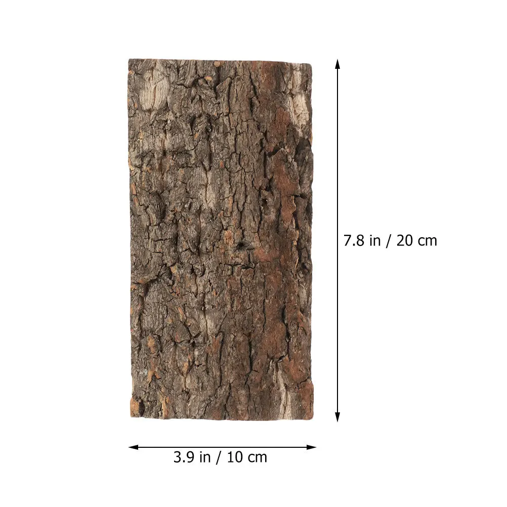 Natural Cork Bark Decor Set 5