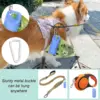 Silicone Dog Poop Bags Holder dog bags dispenser walking stand portable feces collection bag hanging ring silicone storage box 3