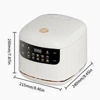 Multicuiseur cuiseur à riz électrique 110V 220V Pot antiadhésif 1-3 personnes Mini Machine de cuisson cuiseur à riz intelligent cuit à la vapeur cuisine 2L 6