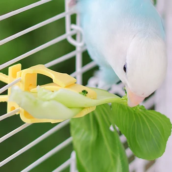 2/4pcs Set Pet Bird Food Holders Parrot Fruit Vegetables Clip Cuttlefish Bone Feeder Device for Pet Parrot Bird Cage Accessories - Image 5